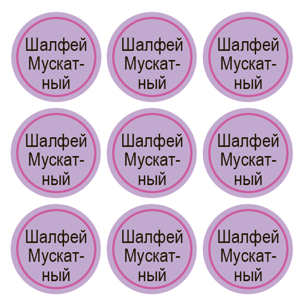 Стикеры Шалфей мускатный / Clary Sage / 108 стикеров на 1 листе