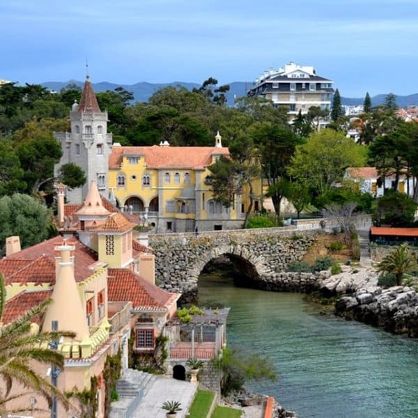 Полная программа для владельцев аккаунта (ID) EurasiaPro