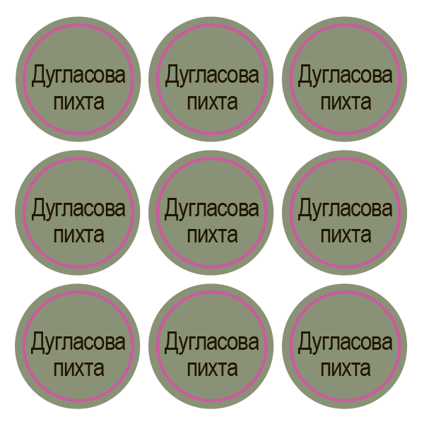 Стикеры Дугласова пихта / Douglas Fir / 108 стикеров на 1 листе